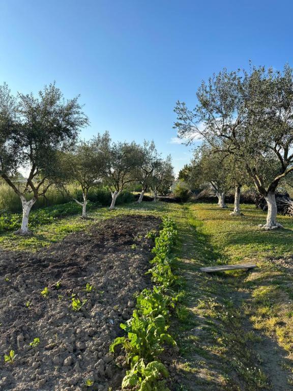 Holiday home Telis Two